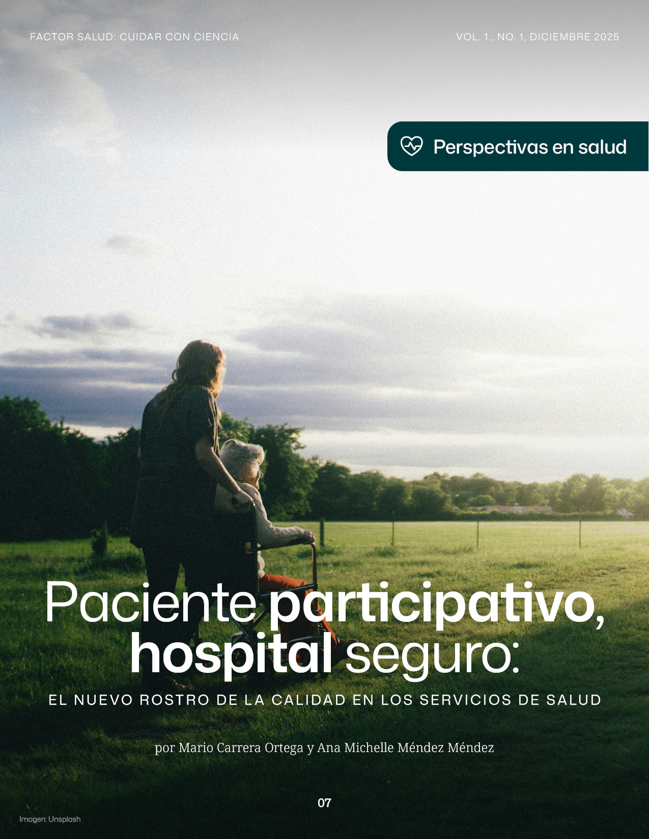 Artículo Paciente participativo