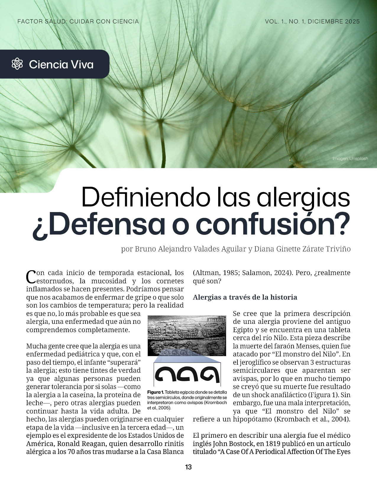 Definiendo las Alergias